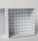 Caja Lazo Bontibú